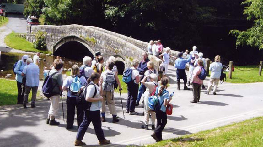 A group of walkers