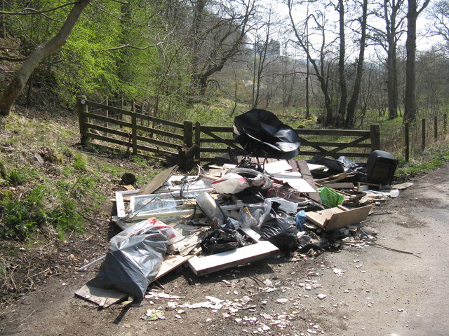 Fly tipping in woods